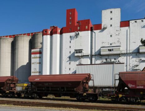 Grain silo complex with red and white buildings behind a line of freight train cars on tracks under a blue sky